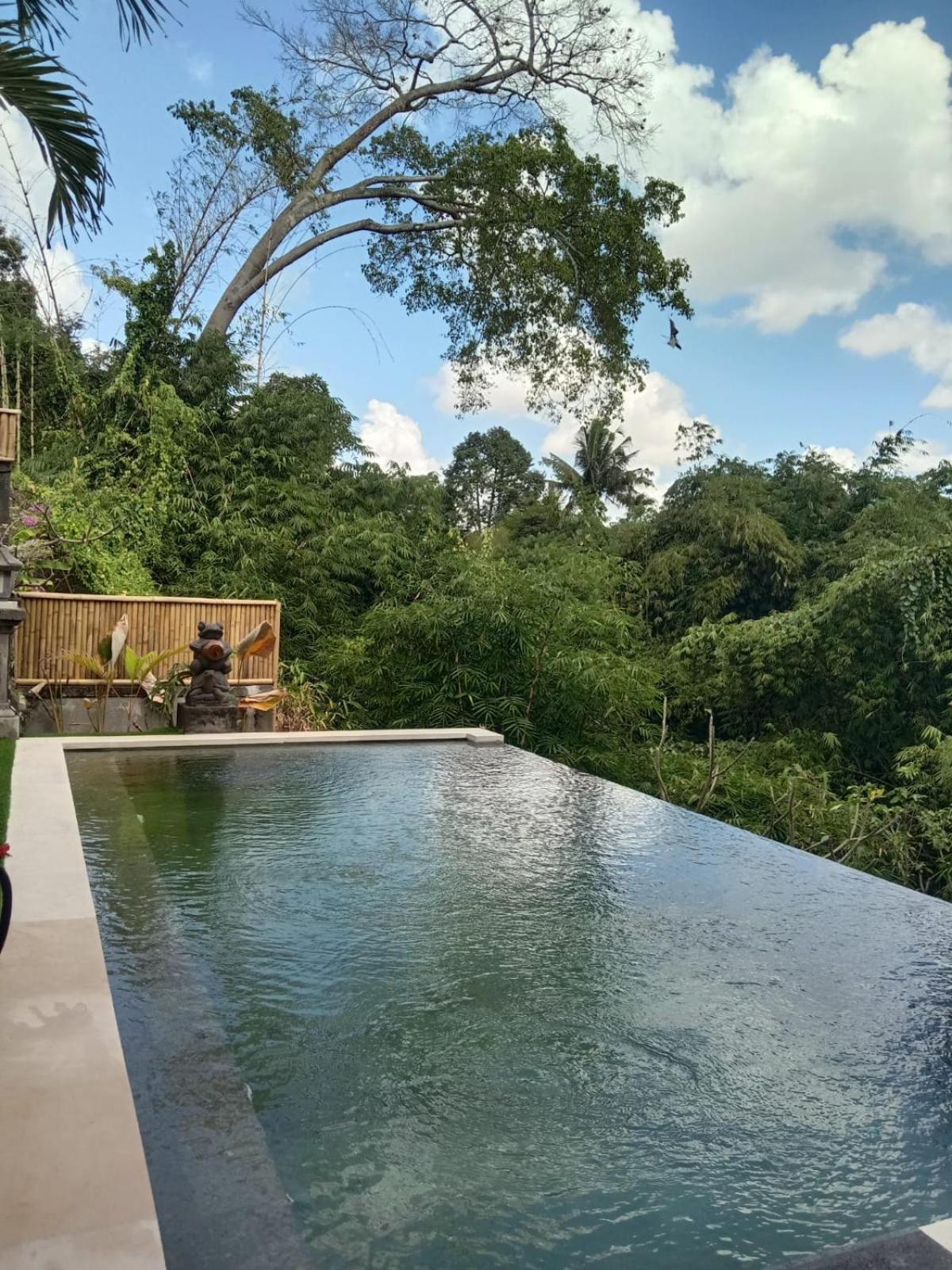 Ketut Kasta Guest House Ubud  Exterior photo